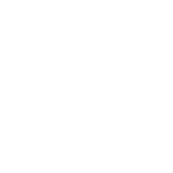 SI logo.